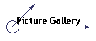 Picture Gallery