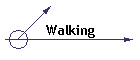 Walking